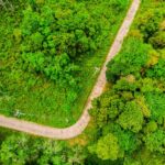 Drumurile forestiere și accesul în zone protejate: respect pentru biodiversitate