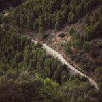 Construcția drumurilor în zone cu relief dificil: soluții inovatoare