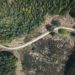 Drumurile forestiere și accesul în zone cu relief accidentat: soluții tehnice