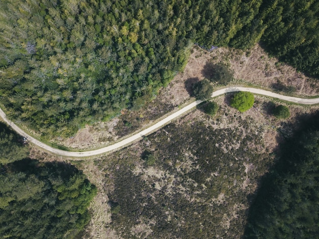Drumurile forestiere și accesul în zone cu relief accidentat: soluții tehnice