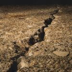 Săpăturile pentru reabilitarea terenurilor: proces și beneficii